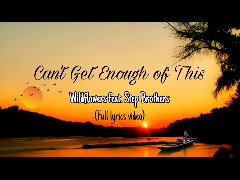 Can't Get Enough of This - Wildflowers, Step Brothers (Full lyrics video)