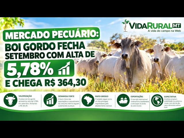 BOI GORDO FECHA SETEMBRO COM ALTA DE 5,78% E CHEGA R$ 364,30