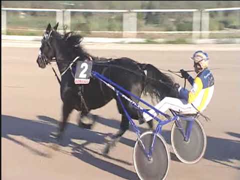 Trotto 11/11/2018 - 2ª corsa