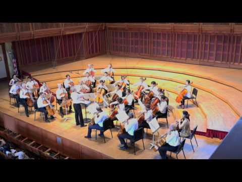 Aquarela do Violoncelo by Blaise Dejardin for 12 Cellos