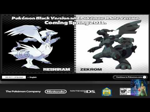 Pokemon Black and White Update May 28, 2010
