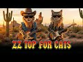 ZZ CAT Well Groomed Coat If ZZ Top Were Cats Official Music Video