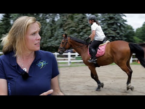 Wallach buckelt steigt ohne Vorwarnung - Lino flößt seinen Reiterinnen Respekt ein