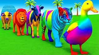 Download lagu Long Slide Game With Elephant Gorilla Buffalo Hippopotamus Tiger 3d Animal Game Funny 3d Animals mp3 Download lagu Long Slide Game With Elephant Gorilla Buffalo Hippopotamus Tiger 3d Animal Game Funny 3d Animals mp3