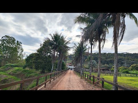 Domingão num aras em texeiras MG 
