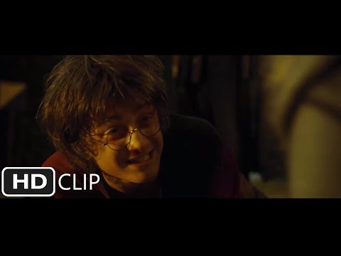 Voldemort's Back | Harry Potter and the Goblet of Fire