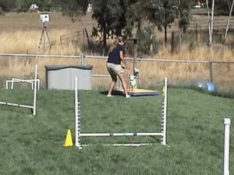 Lisa Running with Toby