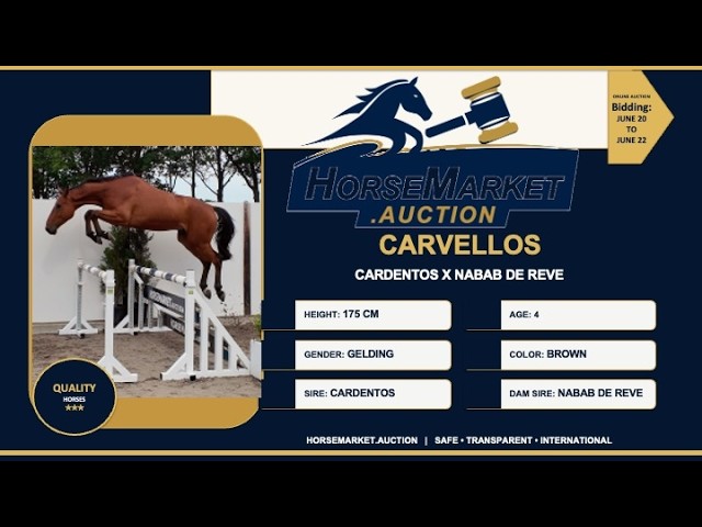 Carvellos