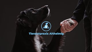 Tierarzt Althelmig Imagefilm 2023