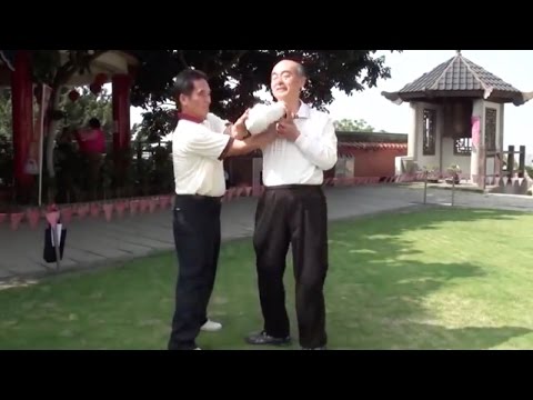 Old Man Shows Amazing Bagua Grappling Skills (Bagua vs Small-Joint Manipulation)