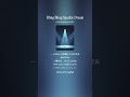 Bling Bling Sparkle Dream