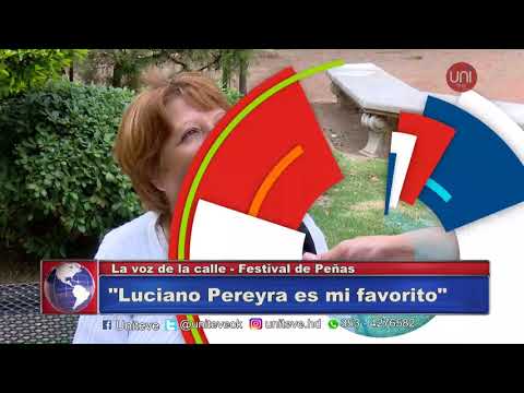 Los vecinos ante el Festival de Peñas