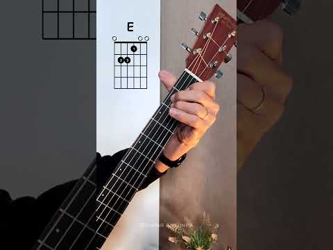 Eterna Infância - Netto Companny