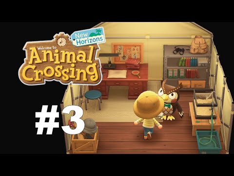 Animal Crossing: New Horizons - Gameplay Walkthrough Part 3 - Blathers Arrived! 15 Donations