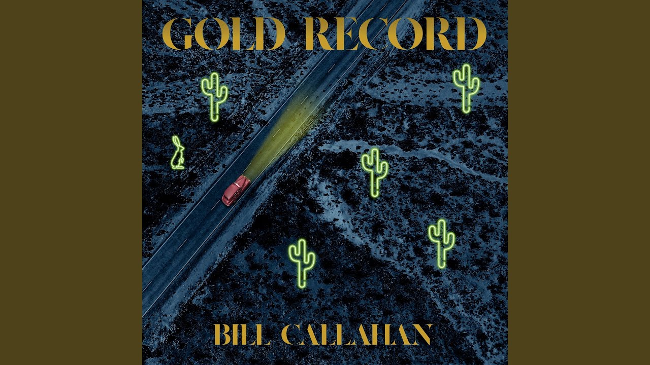 Bill Callahan - Pigeons