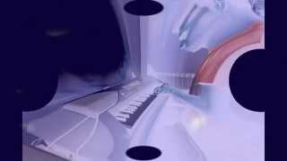 Bach - Aria, Goldberg Variations (Music Box Lullaby cover by Qualium)