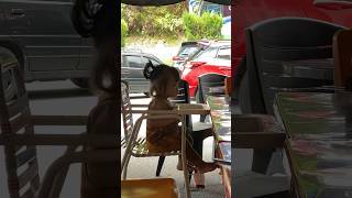 Download lagu Baby Tiara #babyTiara RINDUU mp3 Download lagu Baby Tiara #babyTiara RINDUU mp3