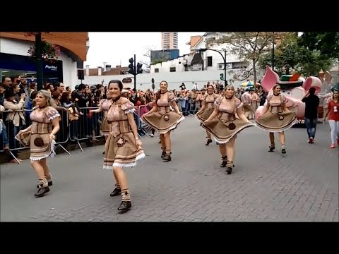 TJ UFSC - 23/10/17 - Oktoberfest // Afastamento do Corregedor-Geral da UFSC