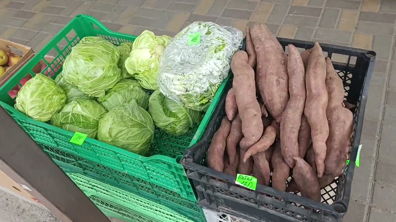 АБРИКОСОВАЯ УЛИЦА ЗАПОРОЖЬЕ 3 АПРЕЛЯ 2026