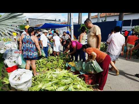 FEIRA DO MILHO EM AGRESTINA-PE. ISTO É NORDESTE!!!
