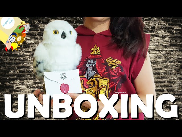 Vídeo relacionado con Harry Potter - Peluche de coleccionista Hedwig 35cm