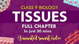 #Tissues Class 9 Full chapter in one shot Animation | cbse 9  Biology | chapter 6| NCERT Science