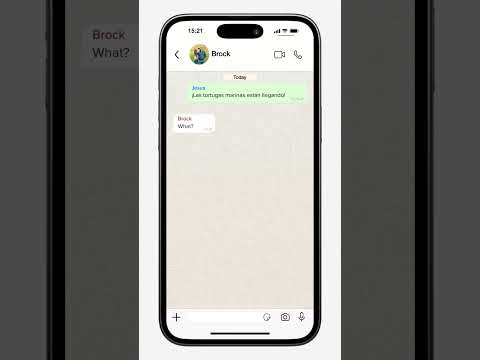 Custom WhatsApp Chat Animation
