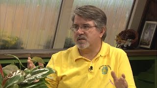 2016 Bee Report - Family Plot