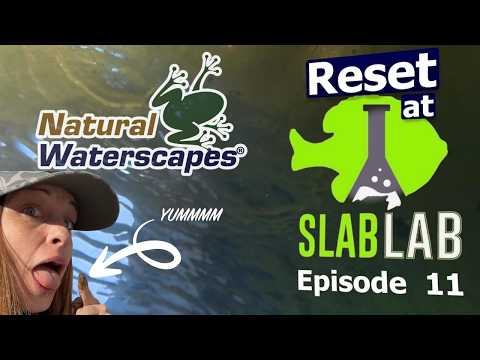 Feeding The Comeback At Slab Lab | Episode 11