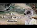 The Extra Terrestrial Messiah