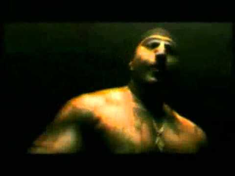 M.A.S.S.I.V.  AL-Massiva