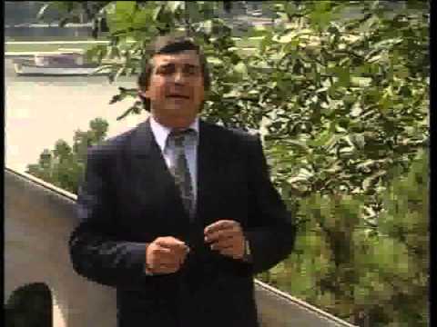 Mica Stanojevic Piromanac - I za senkom njenom patim - (Official Video 1992)