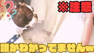 【フレブルvlog】ウェディングドレスを着たら気付いてもらえなかった😓