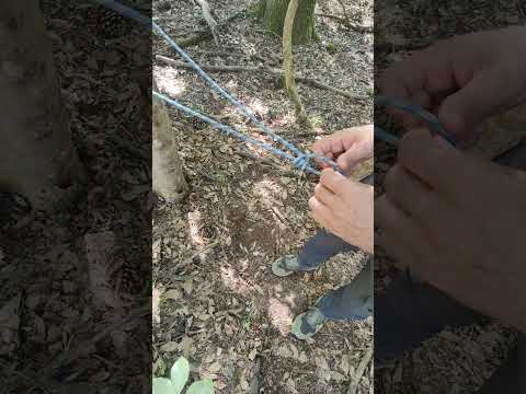 TENSORE AUTOBLOCCANTE 1 (TAUT-LINE HITCH) #knots