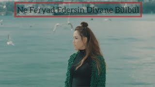 Ceylan - Ne Feryad Edersin Divane Bülbül (Official Video)