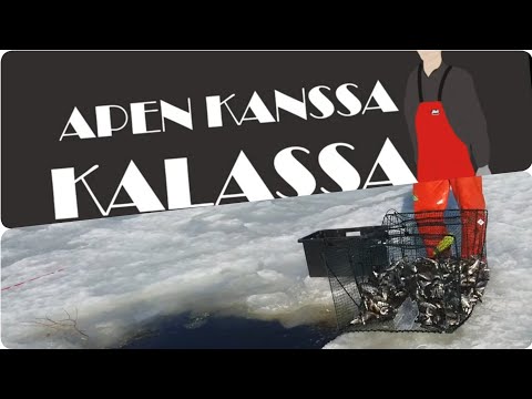 Apen kanssa kalassa - Katiskatesti II
