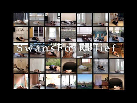 Swans For Relief Created Bymisty Copeland And Joseph Phillips