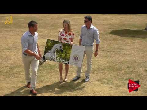 Bruges 2017 - AfterShow