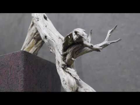Part 4: BonsaiKunst Hamburg Online-Ausstellung