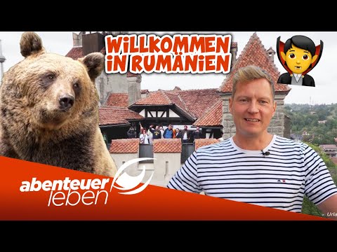 WILDE Bären & SCHLOSS DRACULA! 🧛 Cornel reist nach Rumänien! | Abenteuer Leben