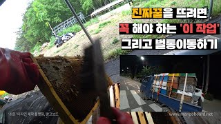 진짜꿀 채밀을 위해서 꼭! 해야하는 작업, 그리고 벌통 차에 실어 이동하기