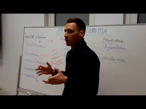 Aplasticus anaemia - tünetek, diagnózis, kezelés 2/2