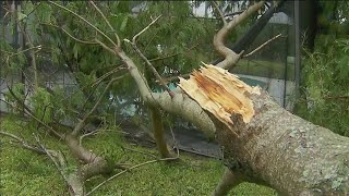 Another tornado touches down in Delray Beach