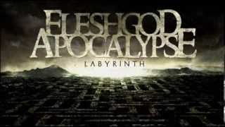 Fleshgod Apocalypse - Towards the Sun (Legendado PT - BR)