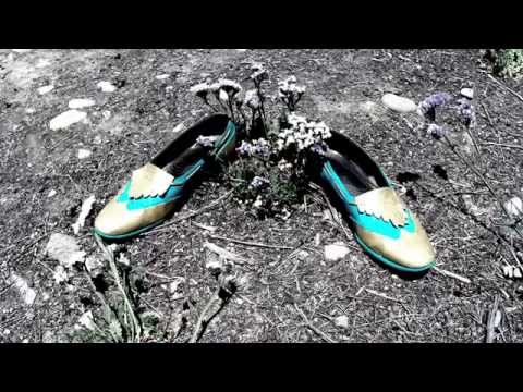 Fancy Shoes - Steam Powered Giraffe