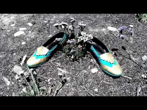 Steam Powered Giraffe - Fancy Shoes