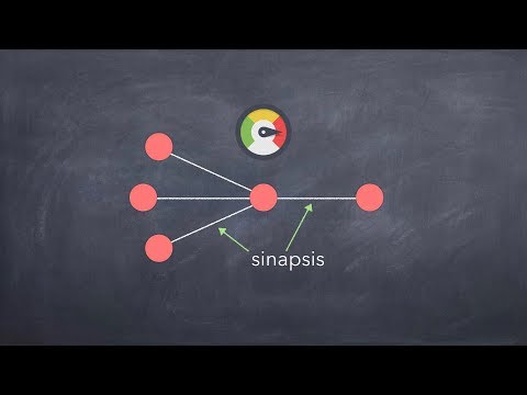 The Paradigm of Complexity, pt. 2/3