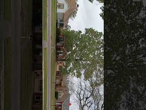 March 30, 2022 " Bad Weather Day in Baton Rouge"