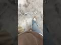 Ein Tag Bei TYJ Schreibwaren Schule Planer Lernen Vlog