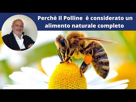 , title : 'POLLINE COME SI USA  | Le proprietà benefiche del Polline d'api'
